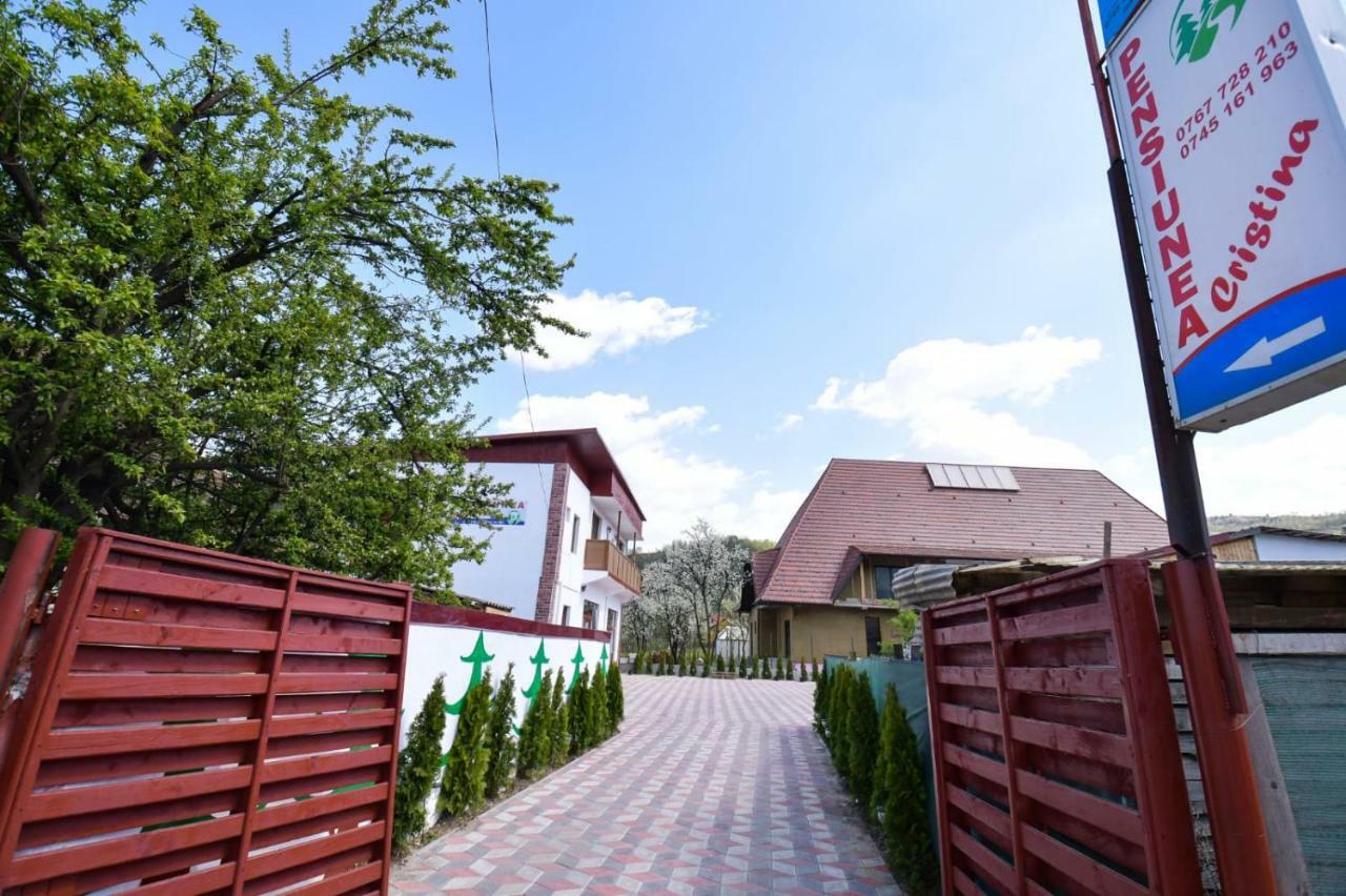 Pensiunea Cristina Vişeu de Sus Exterior foto